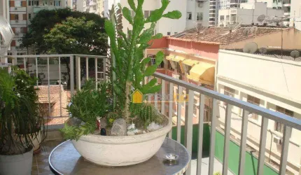 Ótimo apto de 3 quartos no jardim icarai