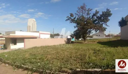 Terreno (terreno normal)