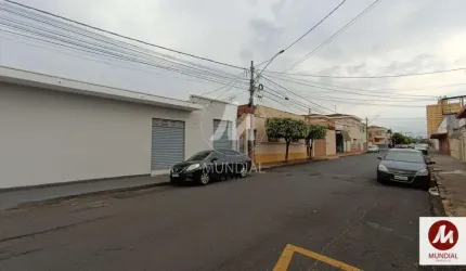 Salão/Galpão (salão - térreo)