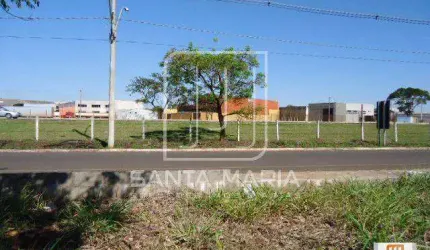 Terreno (terreno normal)