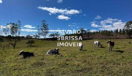 Sítio com 2 casas, 2 barracões de de 120 m² e 1 Barracão de 300 m² e ainda carvoaria com 24 fornos