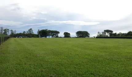 Lote/Terreno Estância à Venda no Condomínio Fazenda Boa Vista em Porto Feliz - SP