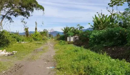 Terreno à venda no bairro Jardim das Palmeiras em Caraguatatuba/SP