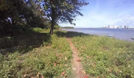 Área na Barra dos Coqueiros