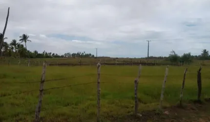 TerrenoÁrea à venda, Povoado Touro - Barra dos Coqueiros/SE