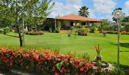 Oportunidade: Chácara no Povoado Areia Branca, Mosqueiro - Um Verdadeiro Paraíso!