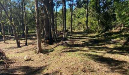Area de Terra à venda no Bairro Carniel com 14000 m² de área privativa