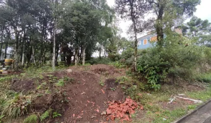 Terreno à venda no Bairro Carniel com 450 m² de área privativa