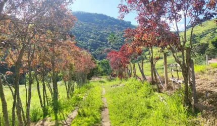 Sitio toledo minas Gerais Com uma área total de 38.720.00m² equivalente a 03,87,20ha (alqueires)