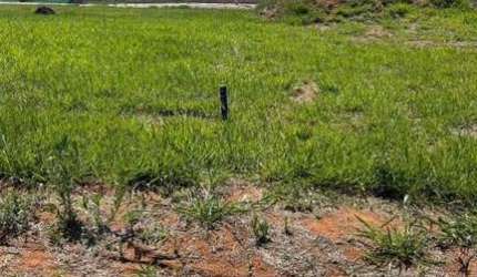 Terreno em Condomínio para Venda em Indaiatuba, Residencial Evidências