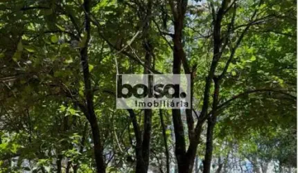 Chácara de Lazer com piscina muito arborizada