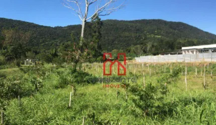 Terreno à venda, 5000 m² por R$ 2.700.000,00 - Santo Antônio de Lisboa - Florianópolis/SC