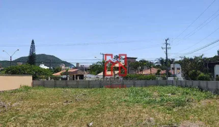 Terreno à venda, 495 m² por R$ 1.450.000,00 - Ingleses do Rio Vermelho - Florianópolis/SC