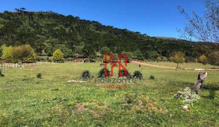 Sítio à venda, 40000 m² por R$ 1.750.000,00 - Vacas Gordas - Urubici/SC