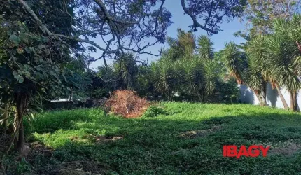 Terreno comercial para alugar na Andre Wendhausen, Coqueiros, Florianópolis, 552 m2 por R$ 6.600