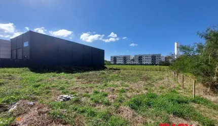 Terreno comercial para alugar na da Tecnologia, Pachecos, Palhoça, 1255 m2 por R$ 3.800