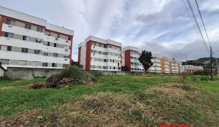 Terreno comercial para alugar na Rua São Pedro, Morro da Bina, Biguaçu, 2531 m2 por R$ 4.000