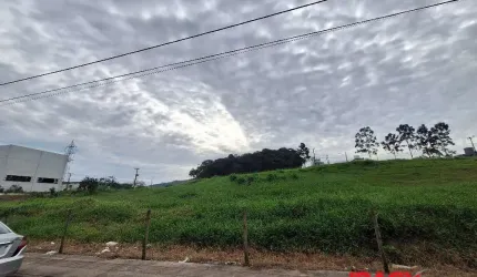 Terreno comercial para alugar na Avenida Osvaldo José do Amaral, Areias, São José, 2029 m2 por R$ 14.000