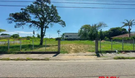 Terreno comercial para alugar na Heriberto Hulse Esq. Com Braulino Duarte Pereira, Serraria, São José, 1528 m2 por R$ 3.000