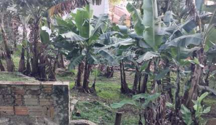 Terreno a venda bairro Saco Grande Florianopolis SC