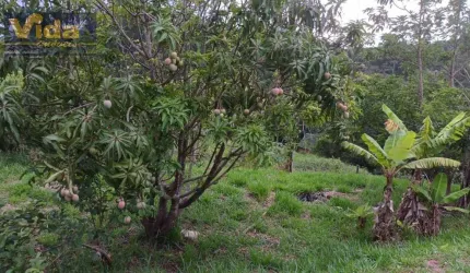 Chácara em Cristal  -  Mairinque