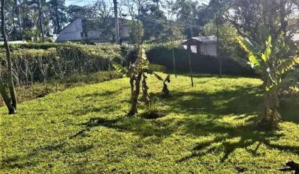 Terreno à venda, 1.050 m² (21 x 50) - Riacho Grande - São Bernardo do Campo/SP