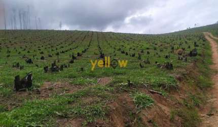Terreno Residencial em Pouso Alegre  -  Santa Isabel