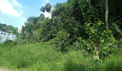Terreno Comercial em Recanto Alpina  -  Santa Isabel