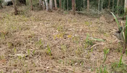 Casa em Condomínio Fechado em Condomínio Ibirapitanga - Santa Isabel, SP