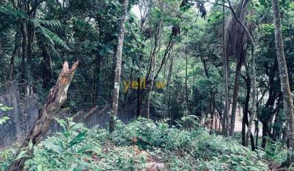Terreno de Condomínio em Arujazinho II: Venda e Locação por R$ 600 mil - Confira!