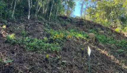 Casa em Condomínio Fechado em Arujázinho I, II e III - Arujá, SP