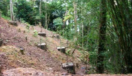 Terreno à venda, 1625 m² por R$ 8.000.000,00 - Taguaiba - Guarujá/SP