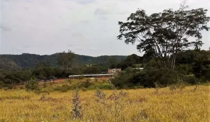 Área para Venda em Pedro Leopoldo, Zona Rural