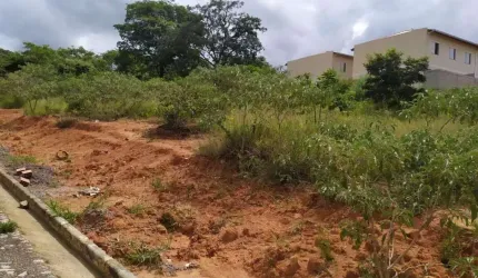 Lote para Venda em Ribeirão das Neves, Porto Seguro