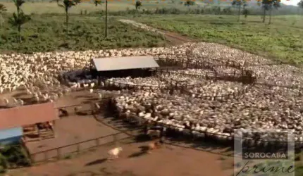Fazenda à venda, 4270000000 m² por R$ 8.000.000.000,00 - Nova Marabá - Marabá/PA