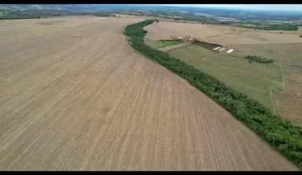Fazenda de Alto Rendimento à Venda em Piracanjuba, GO – 124 Alqueires com Infraestrutura Completa