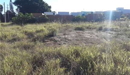 Terreno Parque Industrial