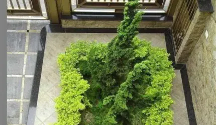 SOBRADO MARAVILHOSO NA VILA ANTONIETA ACEITA PERMUTA POR TERRENO