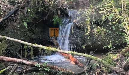 Chácara / sítio à venda na Júlio de Castilhos, 100, Vicentina, Farroupilha por R$ 180.000