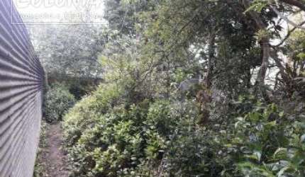 Terreno a venda - Parque João Ramalho, Santo André