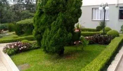 Apartamento a venda - Santa Terezinha, São Bernardo do Campo
