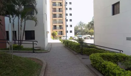 Apartamento à Venda em Vila Carbone, São Paulo - SP