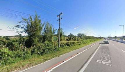 À venda | Terreno com 19.880m² - Canasvieiras, em Florianópolis.