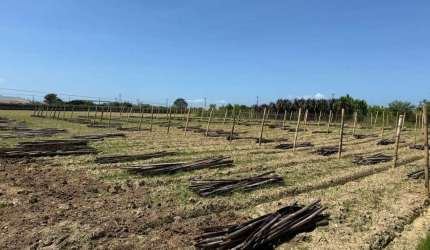 Terreno com 2200m² - À venda na Palhoça.