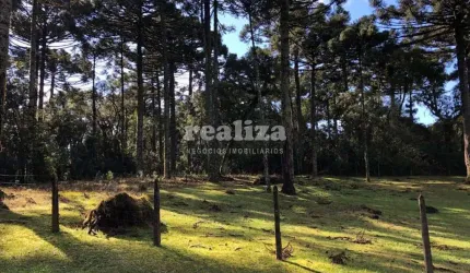 TERRENO NO CARACOL, Caracol, Canela - RS