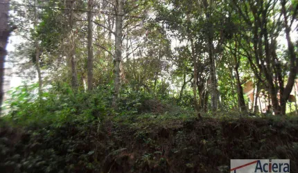 Terreno à venda, 500 m² por R$ 290.500,00 - Granja Viana II Gleba 1 e 2 - Cotia/SP