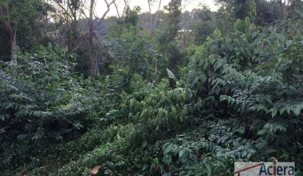 Terreno à venda, 1573 m² por R$ 430.000,00 - Outeiro de São Fernando - Jandira/SP