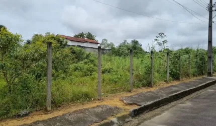 TERRENO AVENIDA DAS FLORES