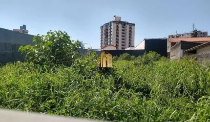 Terreno - Vila Rosália - Guarulhos
