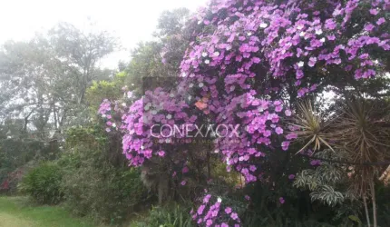 Terreno à venda na Alameda Carlos de Carvalho Vieira Braga, Km 5,5A, Chácaras Alpina, Valinhos por R$ 5.200.000